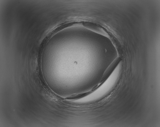 X0000084031261200702232249