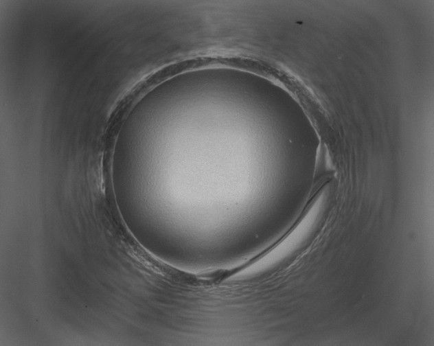 X0000084031262200702232249