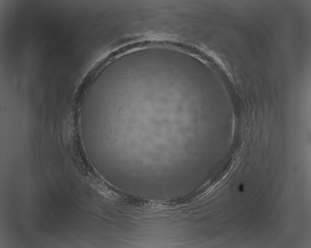 X0000084031263200702232249