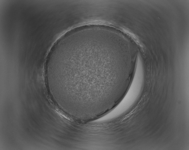 X0000084031264200702232249