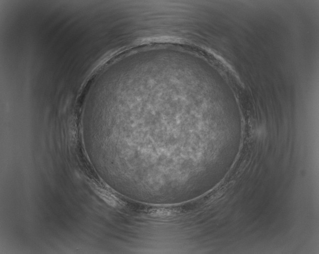 X0000084031266200702232249