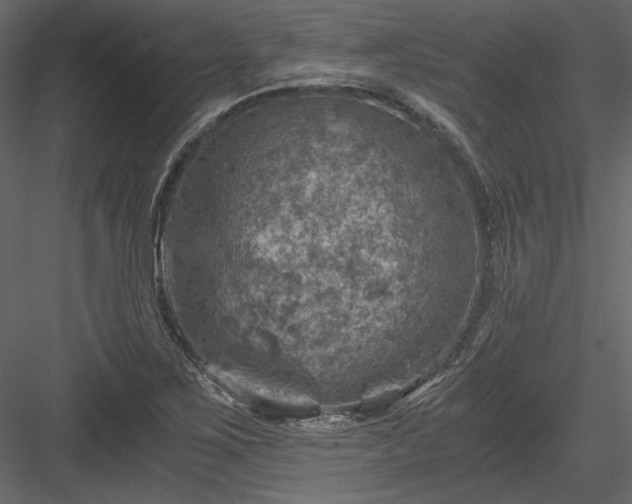 X0000084031267200702232249