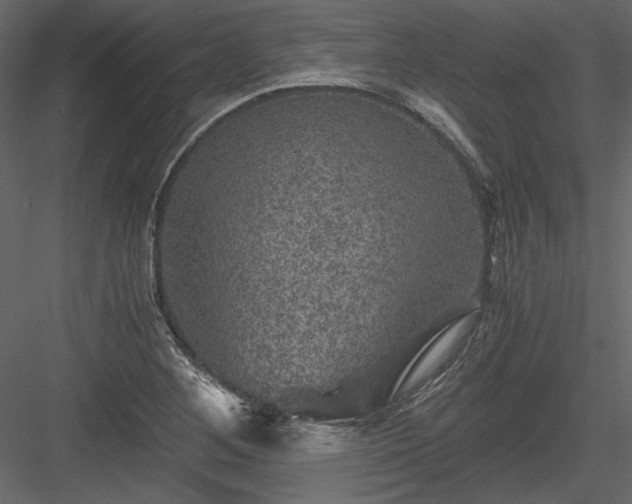 X0000084031268200702232249