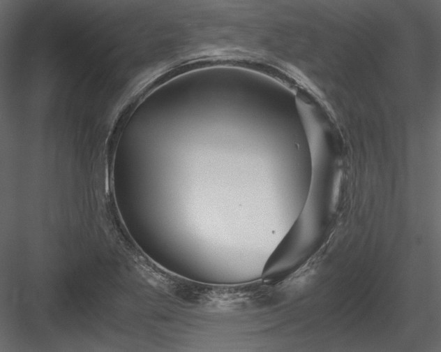 X0000084031269200702232249