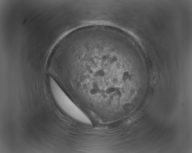 X0000084031271200702232249