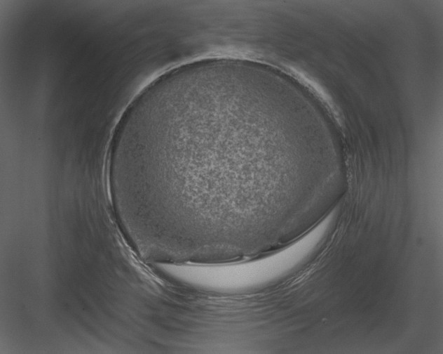 X0000084031272200702232249