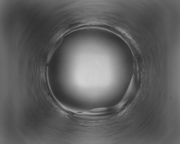 X0000084031273200702232249