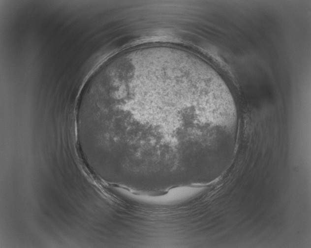 X0000084031274200702232249