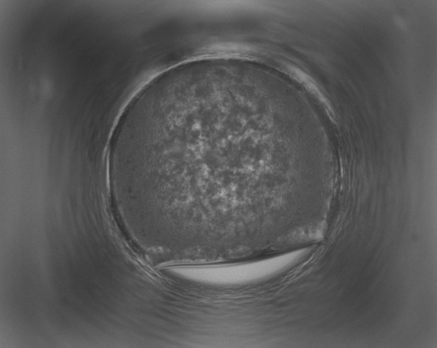 X0000084031275200702232249