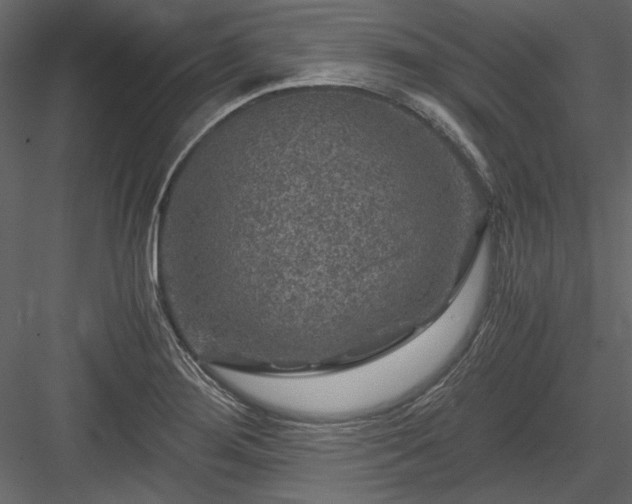 X0000084031276200702232248