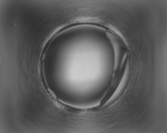 X0000084031277200702232248