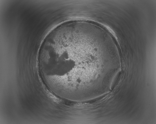 X0000084031279200702232248