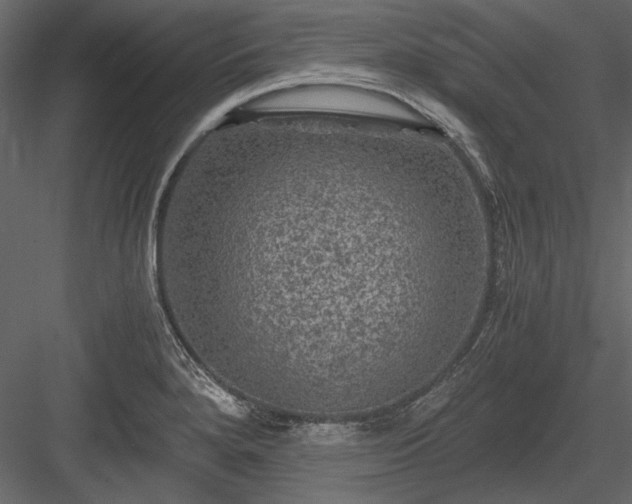 X0000084031280200702232248