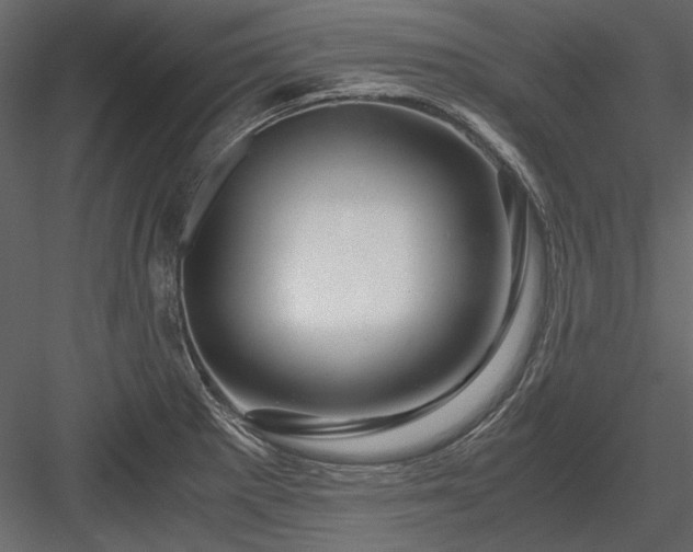 X0000084031281200702232248