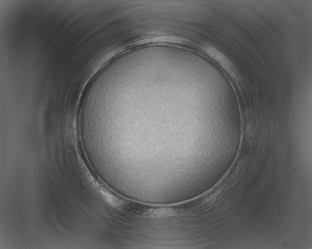 X0000084031282200702232248