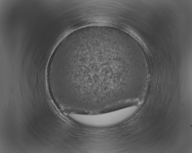 X0000084031283200702232248