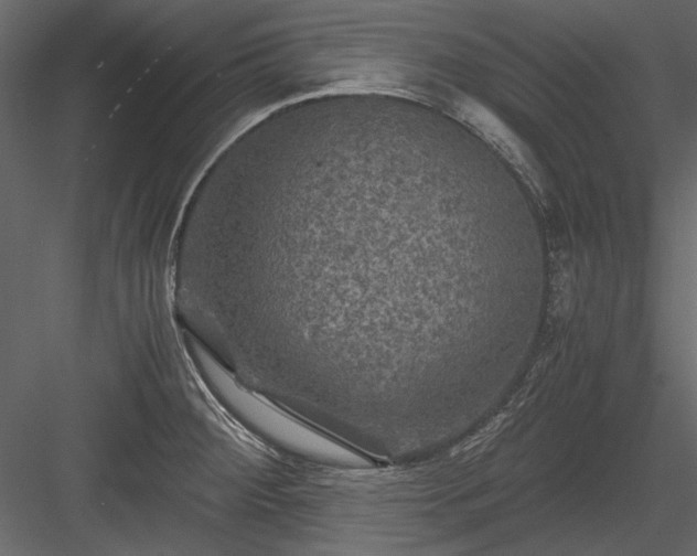 X0000084031284200702232248