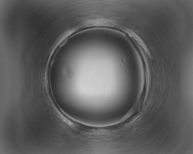 X0000084031285200702232248