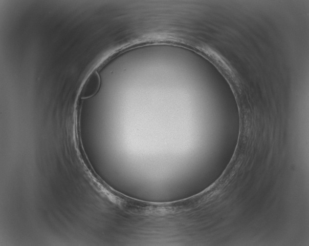 X0000084031286200702232248