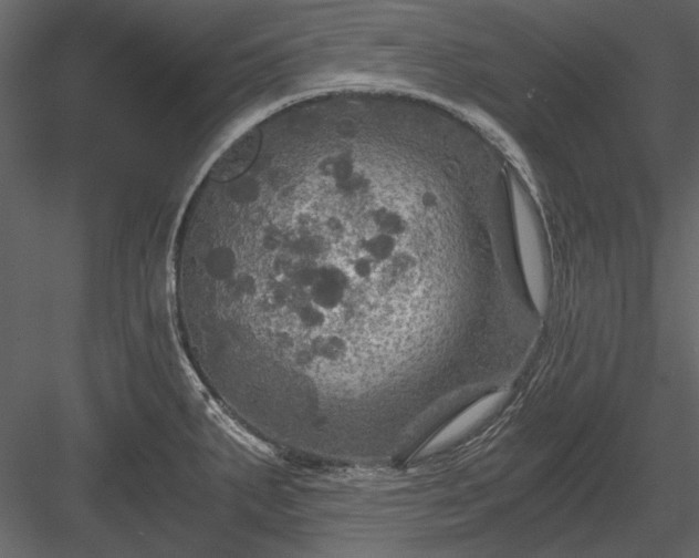 X0000084031287200702232248