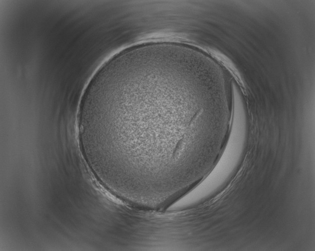 X0000084031288200702232248