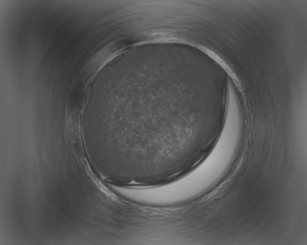 X0000084031289200702232248