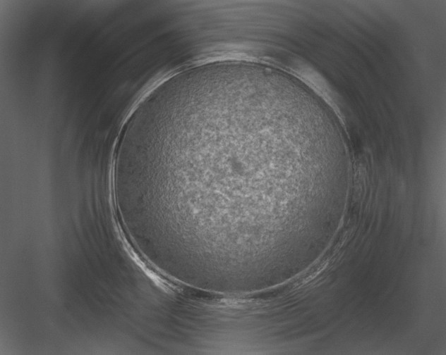 X0000084031290200702232248