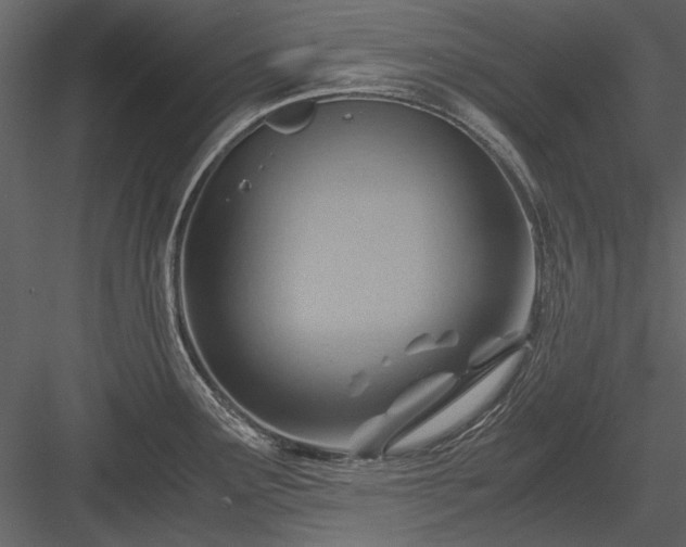 X0000084031291200702232248