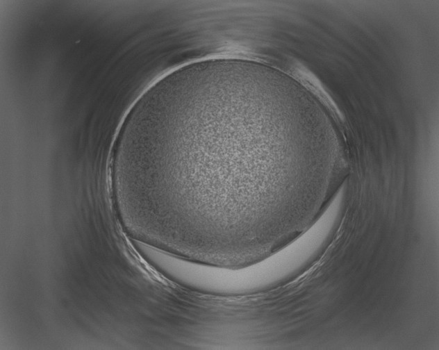 X0000084031292200702232248