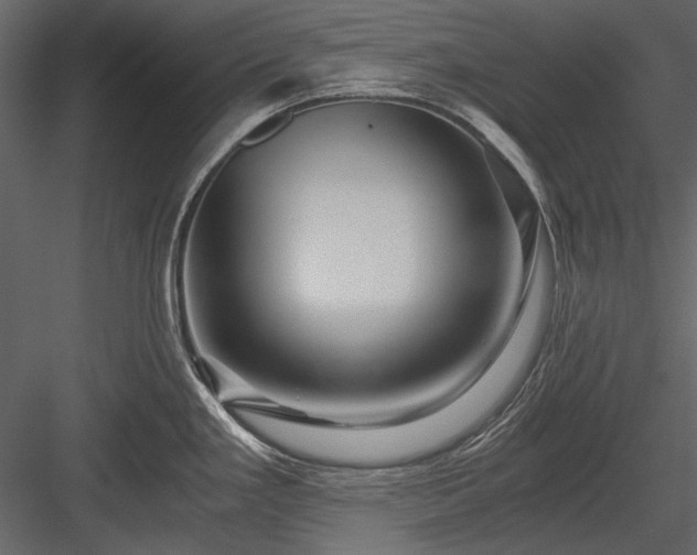 X0000084031293200702232248