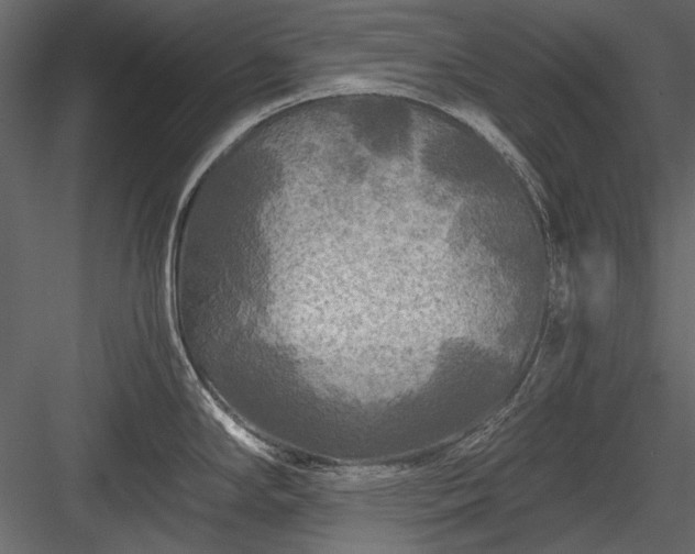 X0000084031294200702232248