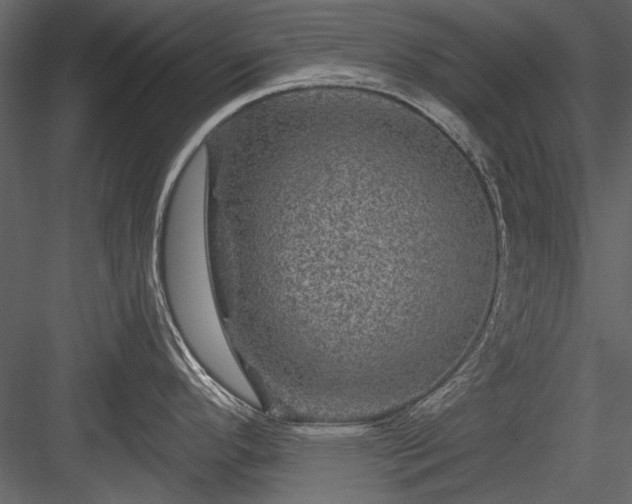 X0000084031296200702232248