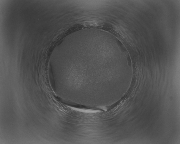 X0000084031297200702232247