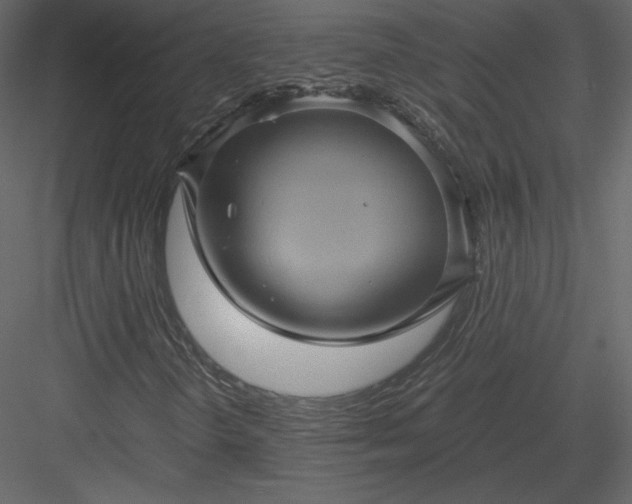 X0000084031298200702232247