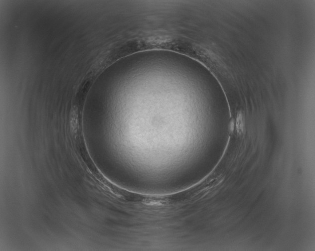 X0000084031299200702232247