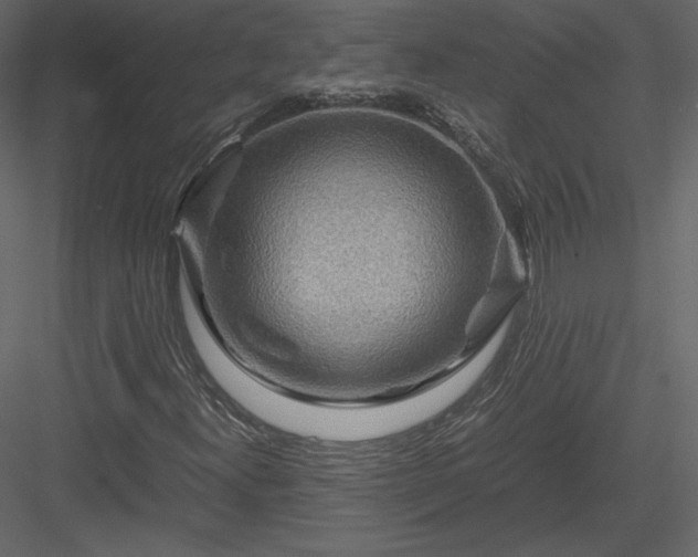 X0000084031300200702232247