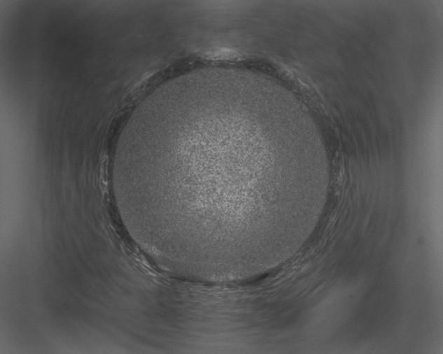 X0000084031301200702232247