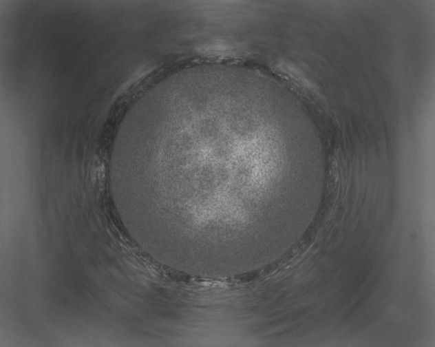 X0000084031302200702232247