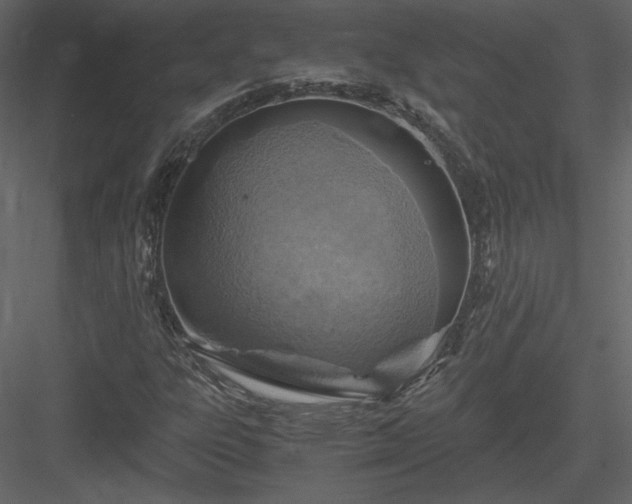 X0000084031303200702232247