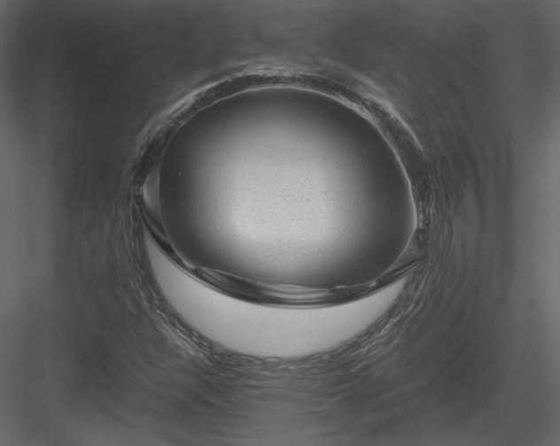 X0000084031304200702232247