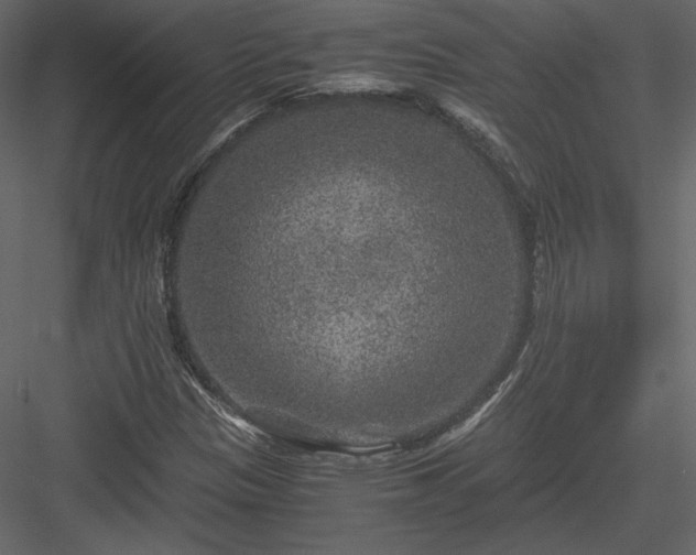 X0000084031305200702232247