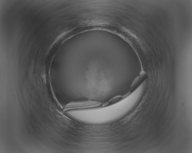 X0000084031306200702232247