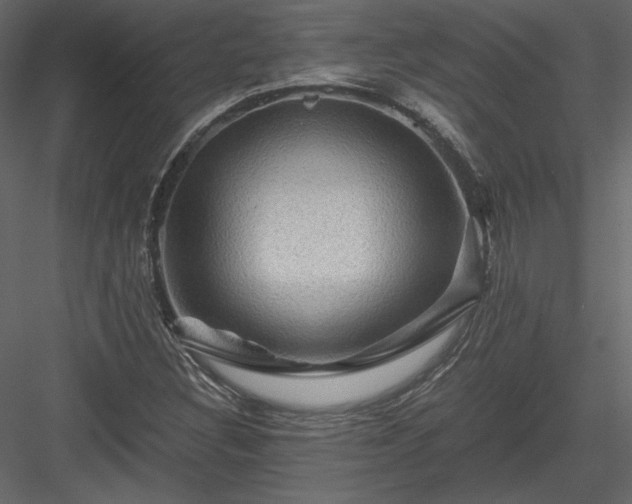 X0000084031308200702232248