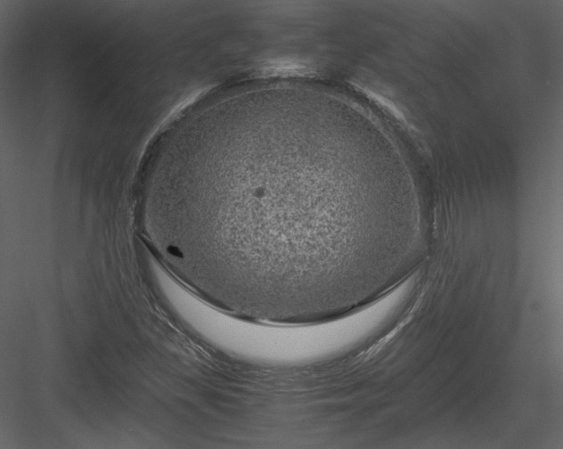 X0000084031309200702232248