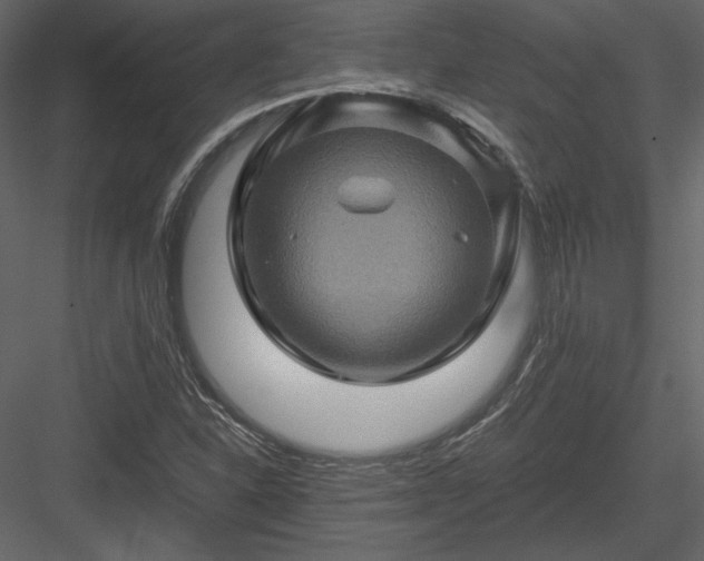 X0000084031310200702232248