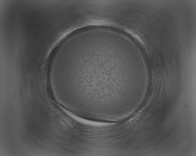 X0000084031311200702232248