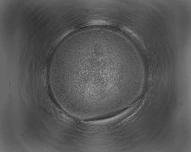 X0000084031313200702232248