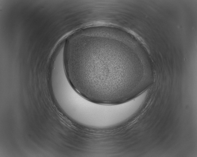 X0000084031314200702232248