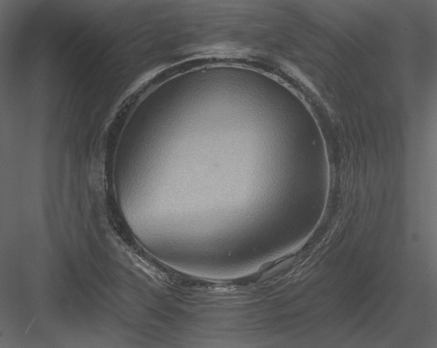 X0000084031315200702232248