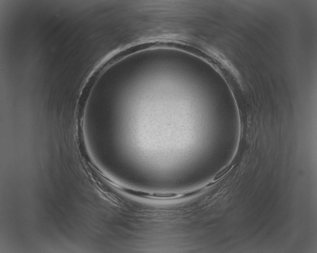 X0000084031316200702232248